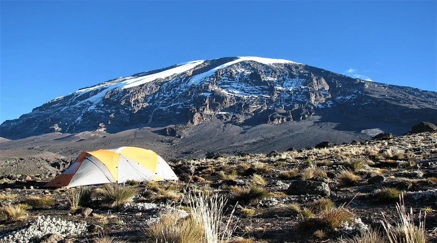 A camping tent pitched at altitude with Kibo's snow-capped summit behind it