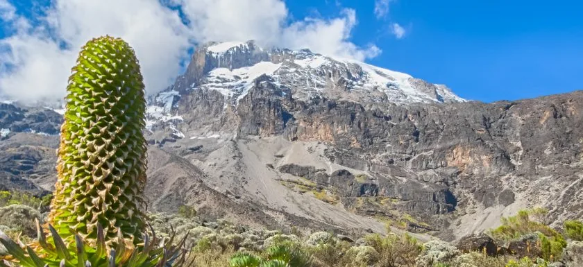 Kilimanjaro climbing camp with mountain peak visible above clouds