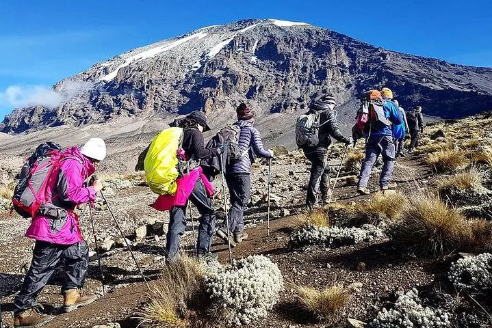 Kilimanjaro climbing photo from 7 Days Lemosho Route
