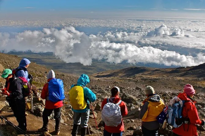 Kilimanjaro climbing photo from 8 Days Lemosho Route