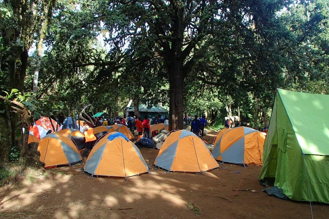 Kilimanjaro climbing photo from 8 Days Lemosho Route