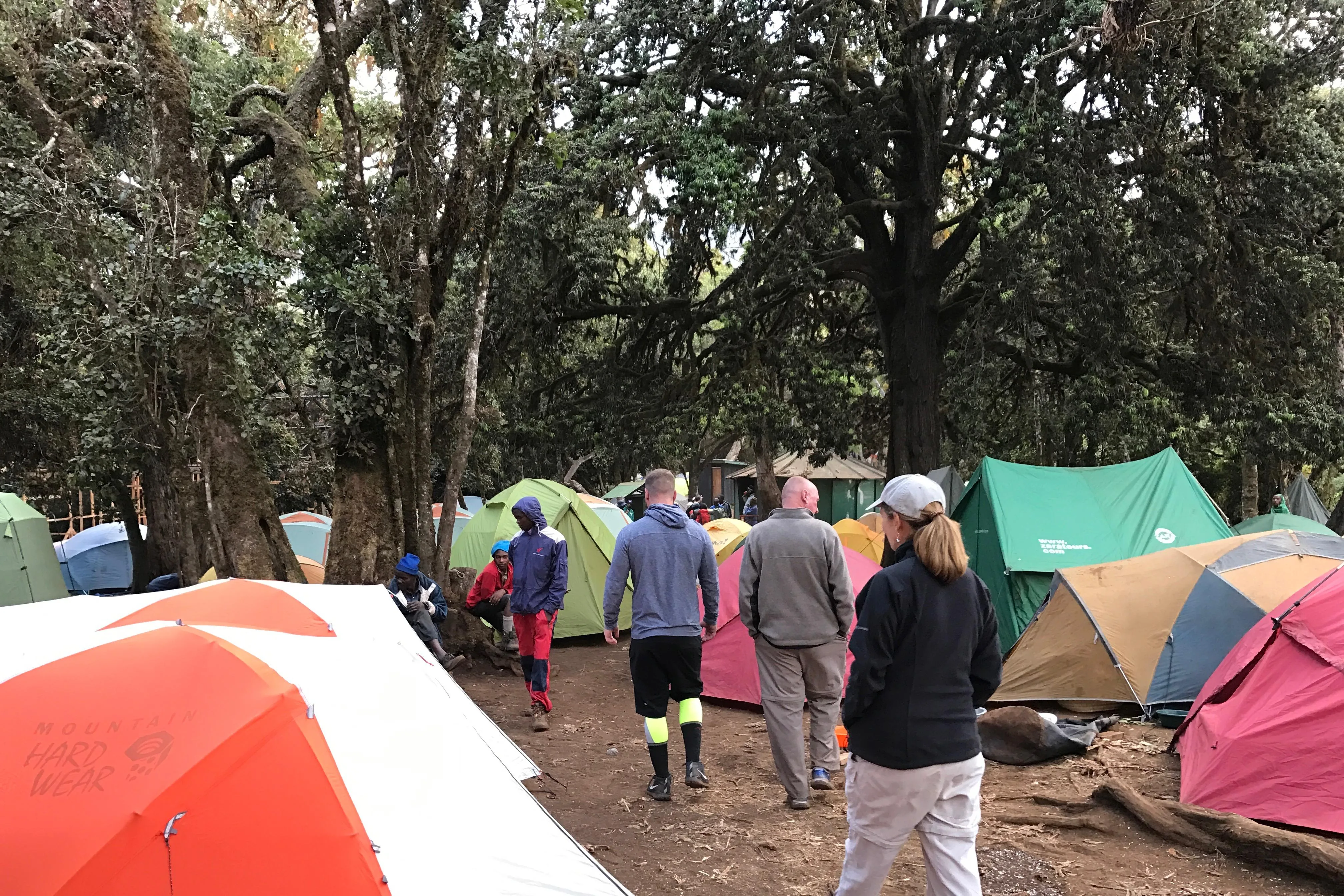 Kilimanjaro climbing photo from 8 Days Lemosho Route