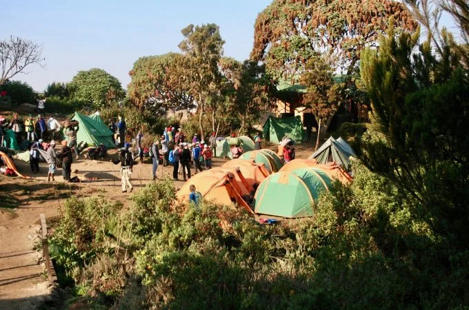 Kilimanjaro climbing photo from 8 Days Lemosho Route