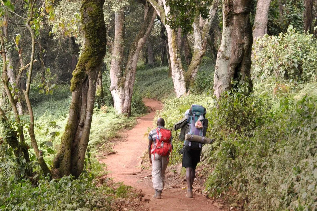 Kilimanjaro climbing photo from 8 Days Lemosho Route
