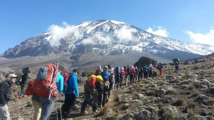 Kilimanjaro climbing photo from 5 Days Marangu Route