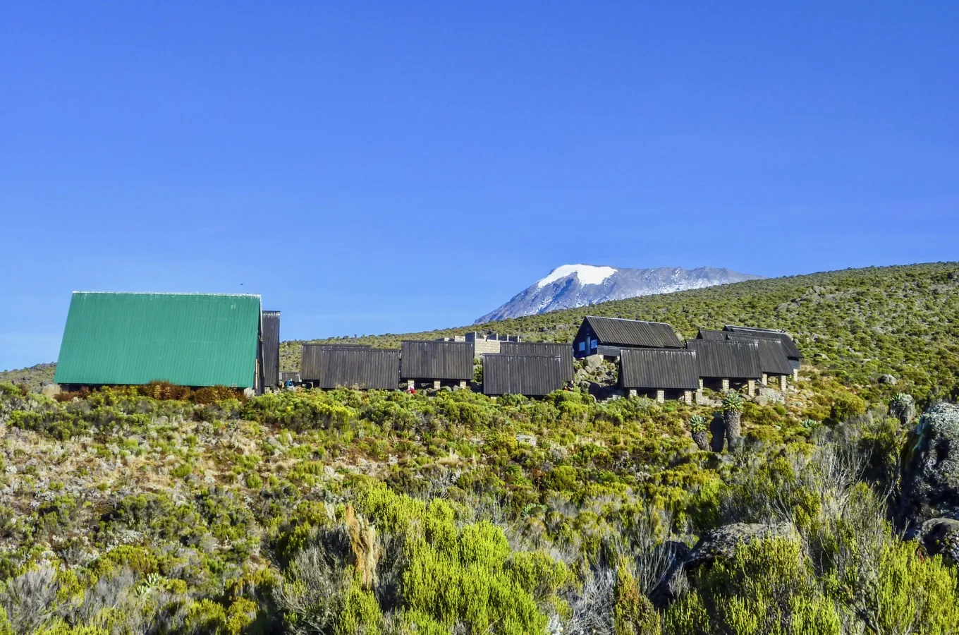 Kilimanjaro climbing photo from 5 Days Marangu Route