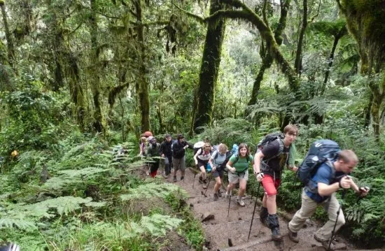 Kilimanjaro climber at camp with trekking gear