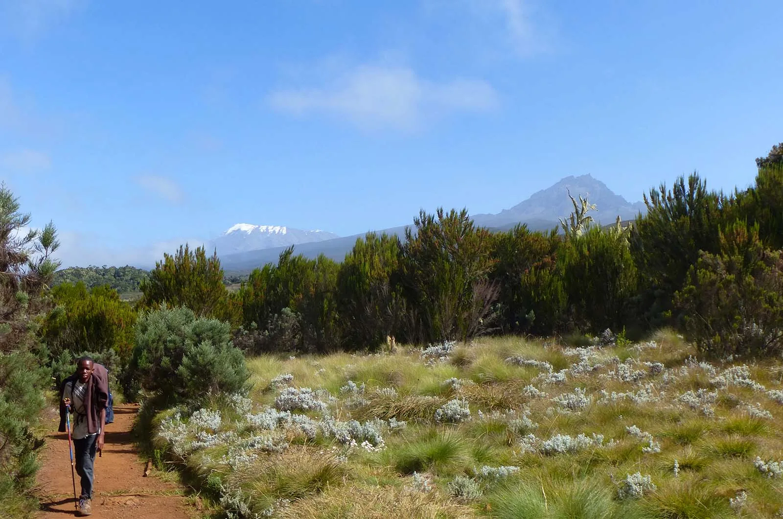 Kilimanjaro climbing photo from 6 Days Marangu Route
