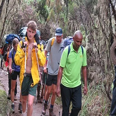 Kilimanjaro climbing photo from Safari Tours in Tanzania