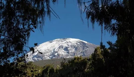 Kilimanjaro climbing photo from 5 Days Marangu Route