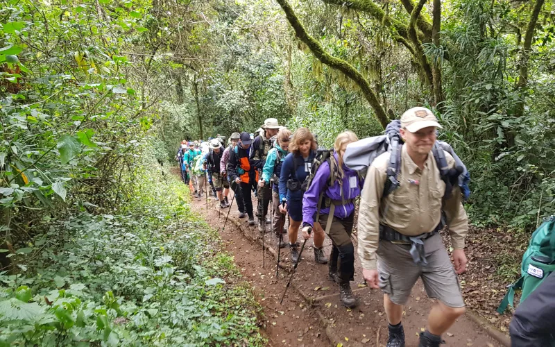 Kilimanjaro climbing photo from 8 Days Lemosho Route