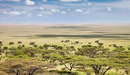 Tanzania safari wildlife and landscape