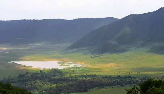 Wildlife in the Ngorongoro Crater, Tanzania