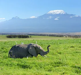 Tanzania safari wildlife and landscape