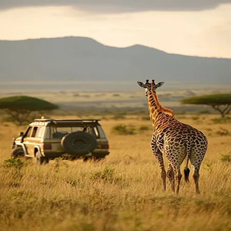 Tanzania safari wildlife and landscape