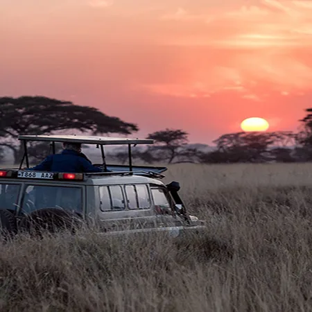 Tanzania safari wildlife and landscape