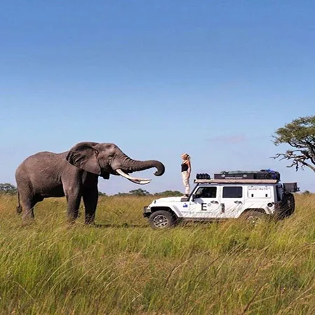 Tanzania safari wildlife and landscape