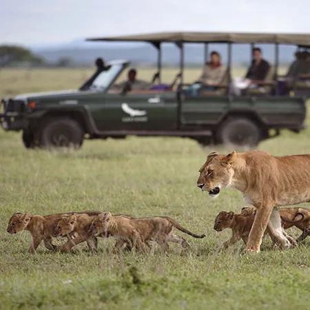 Tanzania safari wildlife and landscape