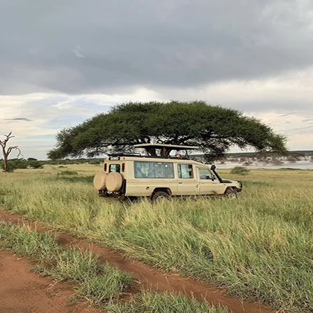 Tanzania safari wildlife and landscape