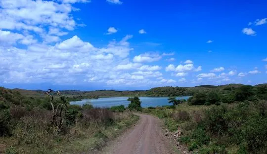 Tanzania safari wildlife and landscape