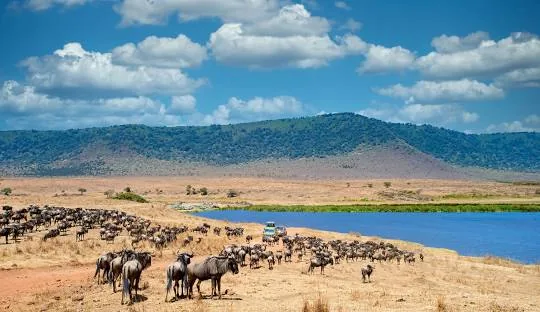 Tanzania safari wildlife and landscape