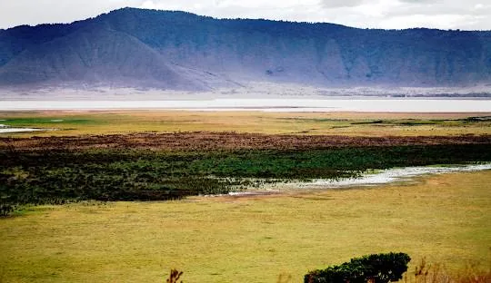 Tanzania safari wildlife and landscape