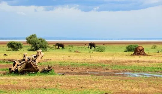 Tanzania safari wildlife and landscape