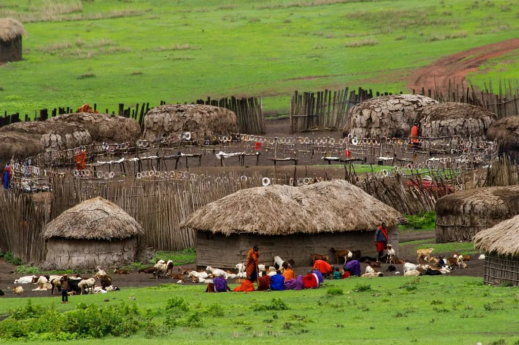 Tanzania safari wildlife and landscape
