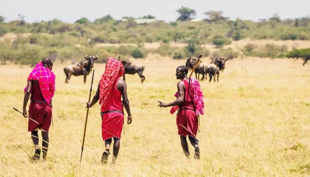 Tanzania safari wildlife and landscape