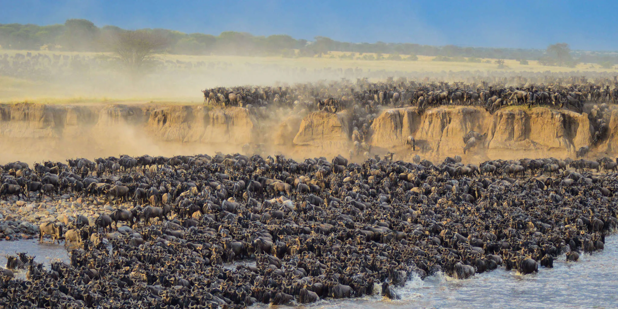 Wildlife game drive in Serengeti National Park
