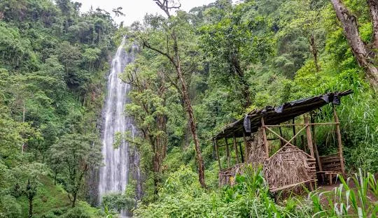 Tanzania safari wildlife and landscape