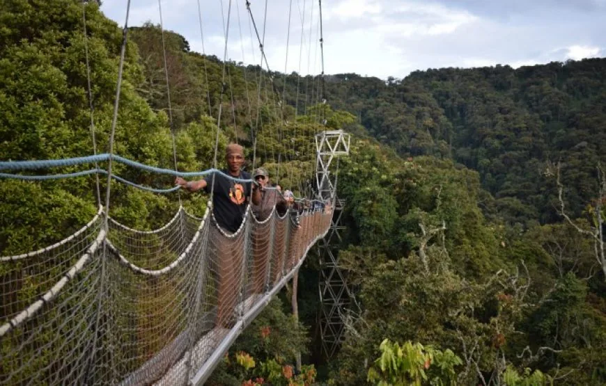 Tanzania safari wildlife and landscape
