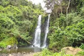 Marangu waterfall surrounded by forest